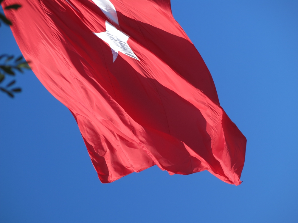 Des coquelicots pour Kobané